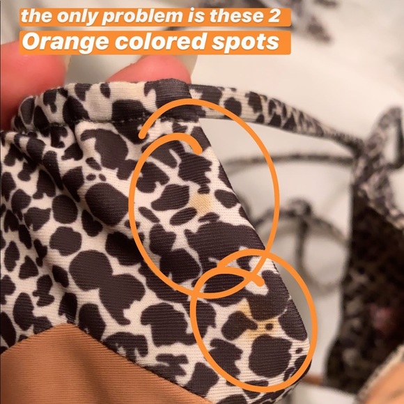 ACACIA Rare Snake Uns Set - Picture 4 of 4